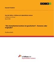 Cover von 'Die Somaliaintervention ist gescheitert'. Konsens oder Irrglaube?