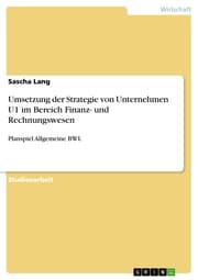 Cover von Umsetzung der Strategie von Unternehmen U1 im Bereich Finanz- und Rechnungswesen