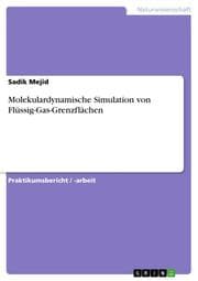 Cover von Molekulardynamische Simulation von Flüssig-Gas-Grenzflächen
