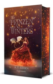Cover von Die Prinzen des Winters - Eisflimmern