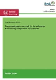 Cover von Sporenaggregationsmodell für die submerse Kultivierung koagulativer Myzelbildner