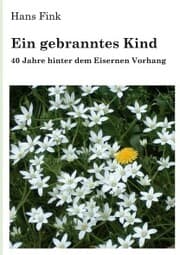 Cover von Ein gebranntes Kind