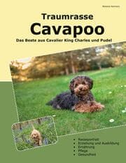Cover von Traumrasse Cavapoo