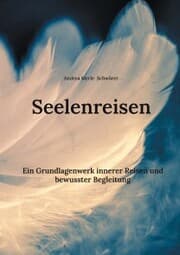 Cover von Seelenreisen