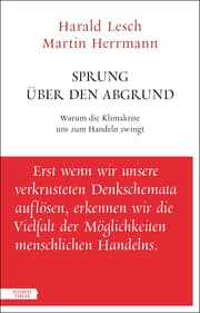 Cover von Sprung über den Abgrund