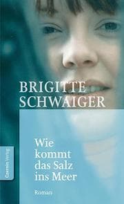 Cover von Wie kommt das Salz ins Meer
