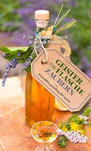 Cover von Geister in die Flasche zaubern