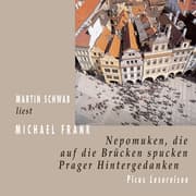 Cover von Nepomuken, die auf die Brücken spucken