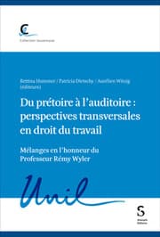 Cover von Du prétoire à lauditoire : perspectives transversales en droit du travail