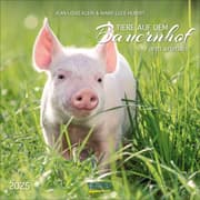 Cover von Tiere auf dem Bauernhof 2025