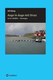 Cover von Auge in Auge mit Orcas