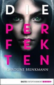 Cover von Echoes of Ashes and Rain - Die Perfekten
