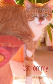 Cover von Cat Tommy