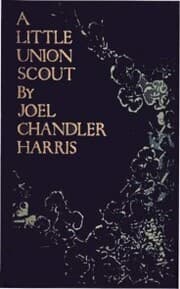 Cover von A Little Union Scout