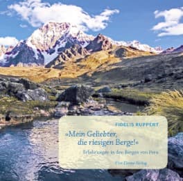 Cover von 'Mein Geliebter, die riesigen Berge'