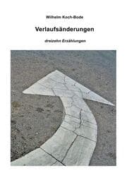 Cover von Verlaufsänderungen - dreizehn Erzählungen