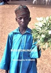Cover von Begegnungen