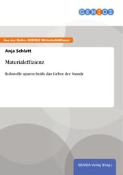 Cover von Materialeffizienz