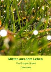 Cover von Mitten aus dem Leben