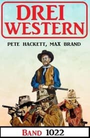 Cover von Drei Western Band 1022