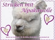 Cover von Stricken mit Alpakawolle