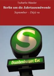 Cover von Berlin um die Jahrtausendwende: Rothe stürzt ab