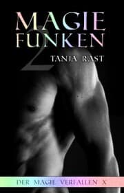 Cover von Magiefunken 2
