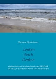 Cover von Lenken durch Denken
