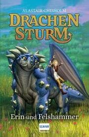 Cover von Drachensturm - Erin und Felshammer