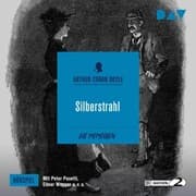 Cover von Silberstrahl