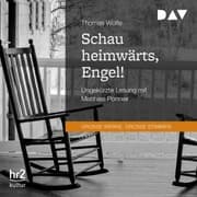 Cover von Schau heimwärts, Engel! Eine Geschichte vom begrabenen Leben