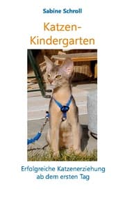 Cover von Katzen-Kindergarten