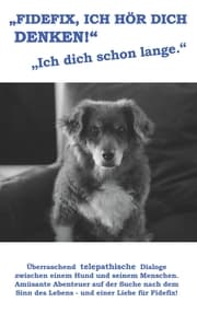 Cover von Fidefix, ich hör dich denken