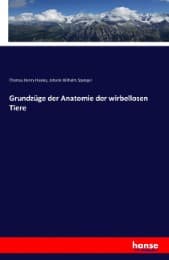 Cover von Grundzüge der Anatomie der wirbellosen Tiere