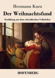 Cover von Der Weihnachtsfund