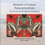 Cover von Moments of Fantasy, Naturseelenbilder