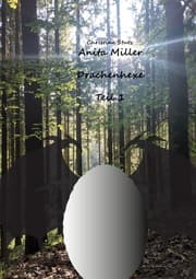 Cover von Anita Miller Drachenhexe