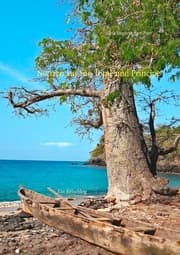 Cover von Notizen aus São Tomé und Príncipe