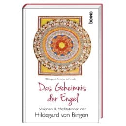 Cover von Das Geheimnis der Engel
