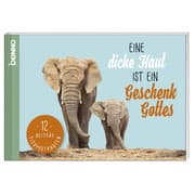 Cover von Postkarten-Buch 'Eine dicke Haut ist ein Geschenk Gottes'