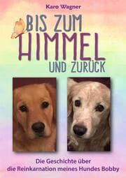 Cover von Bis zum Himmel und zurück
