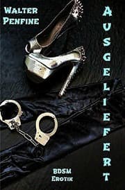 Cover von Ausgeliefert