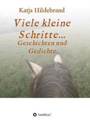 Cover von Viele kleine Schritte...