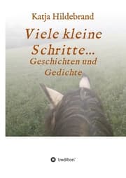 Cover von Viele kleine Schritte...