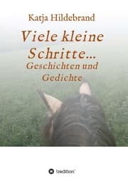 Cover von Viele kleine Schritte...
