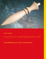 Cover von Feng Shui im morphogenetischen Feld
