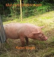 Cover von Mut zum Glücklichsein