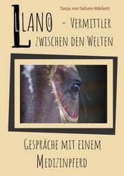 Cover von Llano - Vermittler zwischen den Welten