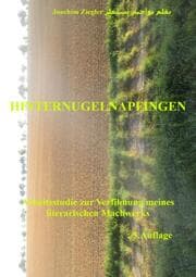 Cover von Hinternugelnapfingen 5.Auflage Januar 2020