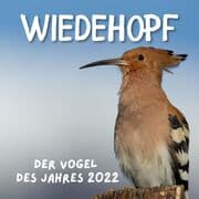 Cover von Wiedehopf